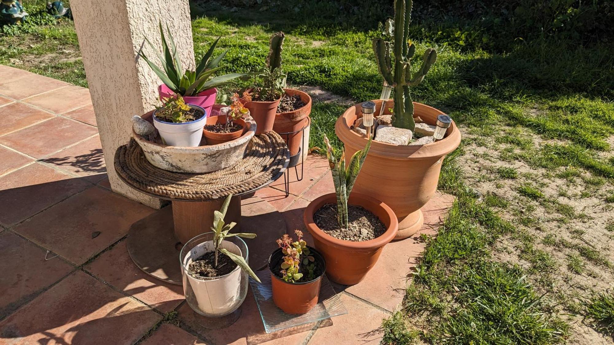 Maisonnette Kalis Calme Avec Climatisation Parking Jardin Cadre Campagne Plages A Pieds Bandol Bagian luar foto
