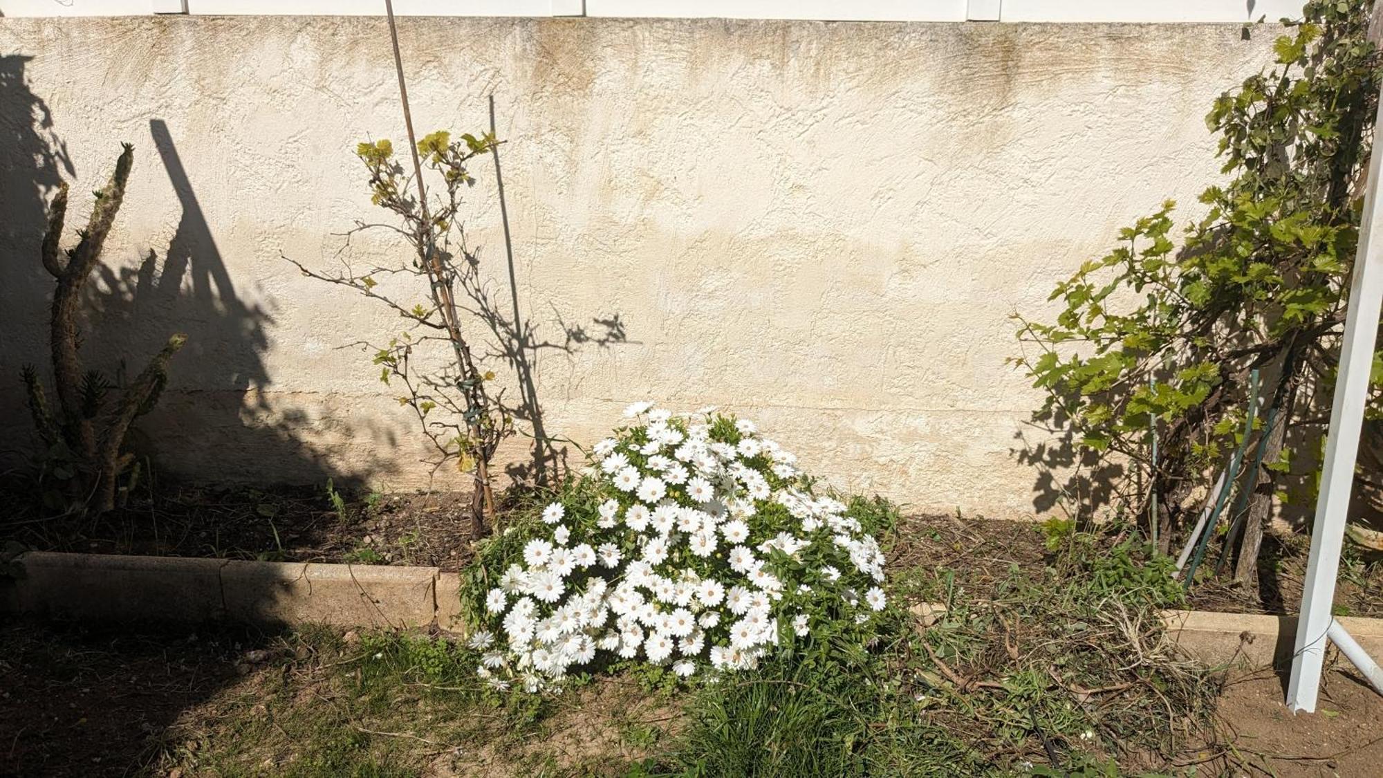 Maisonnette Kalis Calme Avec Climatisation Parking Jardin Cadre Campagne Plages A Pieds Bandol Bagian luar foto